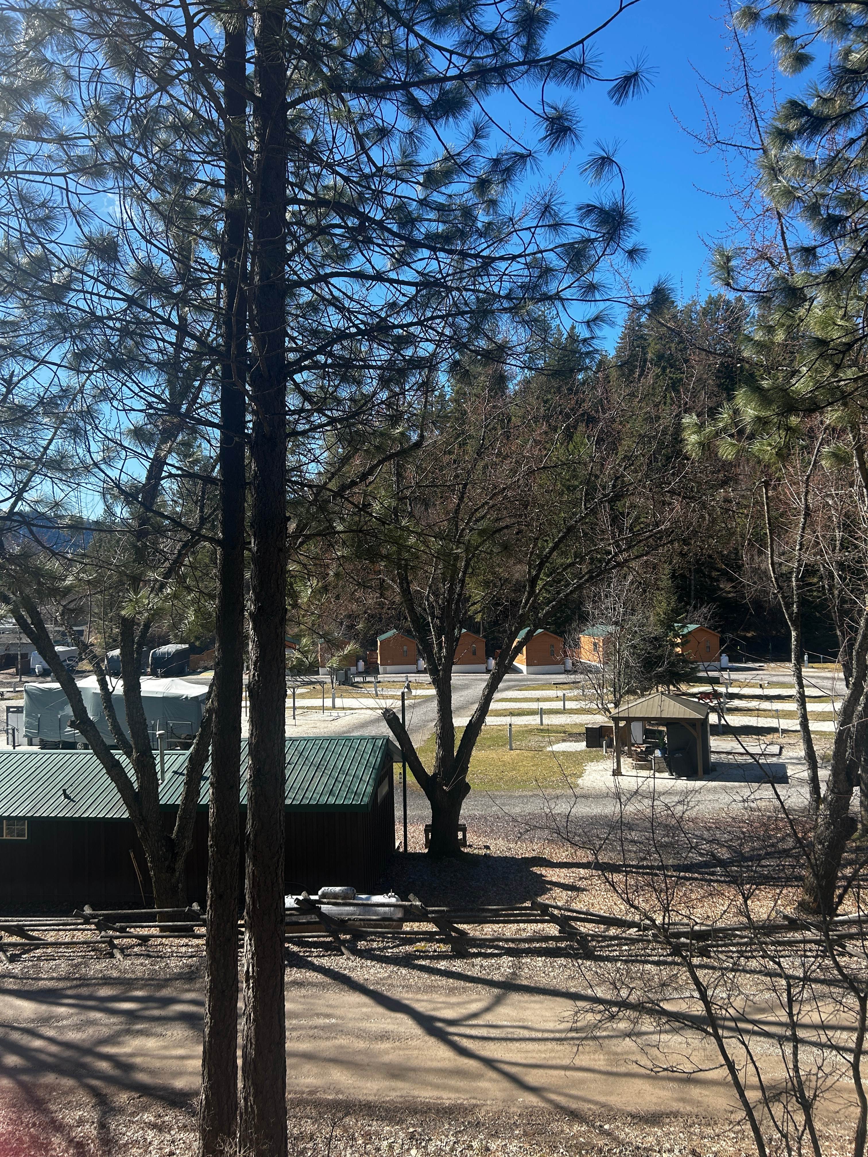 Daytime view of campground with RV sites and cabins among pine trees